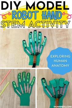 Stem Activity For Preschool, Stem Hand Project, Anatomy Stem Activities, 4th Grade Stem Projects, Robot Hand Stem Activity, Engineering Crafts For Preschool, Engineering For Preschoolers, Diy Crafts For Middle Schoolers, Fifth Grade Projects