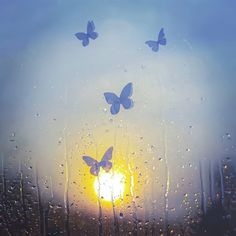 some blue butterflies flying in the air over a window with raindrops on it