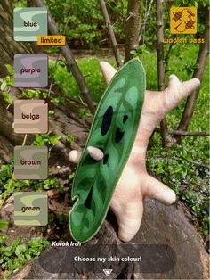 a hand holding a green peal on top of a tree stump in the woods