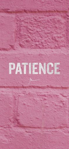 a pink brick wall with the word patience written in white on it's side