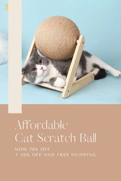 a gray and white cat laying on top of a wooden ball