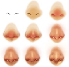 an image of different types of nose shapes