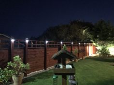 a fenced in yard with lights on the top of it and grass around it