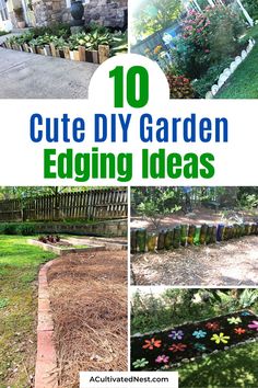 garden edging ideas that are easy to do and great for beginners in the garden