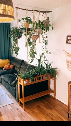 a living room filled with lots of plants and hanging plant hangers on the wall