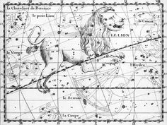 size: 12x9in Giclee Print: Engraving of Constellation Leo : Constellation Wall Art, Atlas Tattoo, Leo Constellation, Horoscope Gemini, Big Canvas Art, Great Big Canvas, Stretched Canvas Prints, Canvas Print Wall, High Quality Art Prints