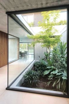 the inside of a house with glass walls and plants