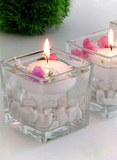 two clear square vases filled with flowers and rocks