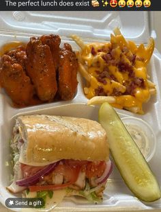 a lunch box with chicken wings, salad and french fries on the side as well as a pickle