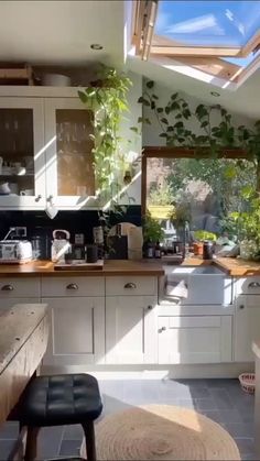 a kitchen with lots of counter space and plants on the windows sill above it