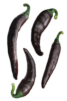 three purple and green peppers on a white background