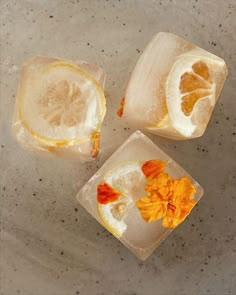 three ice cubes with orange slices and leaves on them