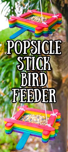 popsicle stick bird feeder hanging from a tree with text overlay that reads popsicle stick bird feeder