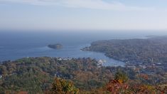 a scenic view of the ocean and trees in fall colors, from atop a hill