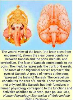 Inside Your Brain, Hinduism History, Kemetic Spirituality, Sahaja Yoga, Pranic Healing, Indian Philosophy, Ancient History Facts, Sacred Science, Indian History Facts