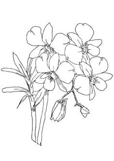 a bouquet of flowers is shown in black and white