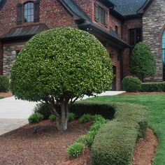 a very nice looking house with some bushes in the front yard