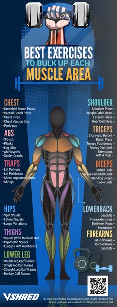 the best exercises for muscle area info sheet with instructions on how to do it and what to use them