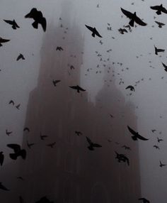 a flock of birds flying in front of a tall building on a foggy day