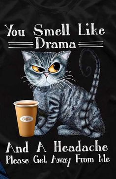 Kaffe Humor, Cat Sayings, Cat Jokes, Cat Quotes Funny, Cat Humor, Funny Cartoon Quotes, Cartoon Quotes, Sarcastic Quotes Funny, Cat Posters