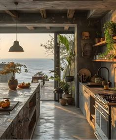 a kitchen with an ocean view is shown in this image, and there are many potted plants on the counter