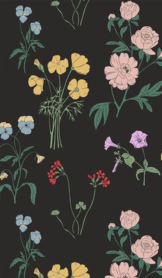 a bunch of flowers that are on a black background