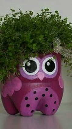 an owl planter with some plants in it