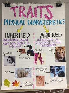 a poster with animals and their physical characteristics