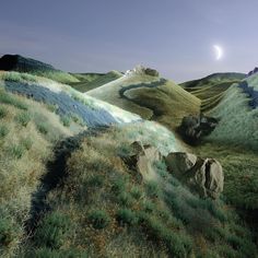 an artist's rendering of a landscape with grass, rocks and moon in the sky