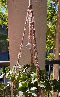 a potted plant hanging from the side of a building