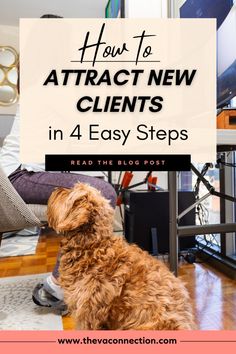 a brown dog sitting on top of a wooden floor next to a white sign with the words how to attract new client in 4 easy steps