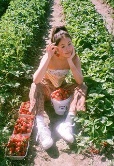 a woman sitting in the middle of a strawberry field