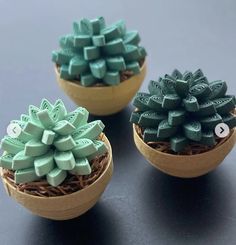 three small clay pots with plants in them