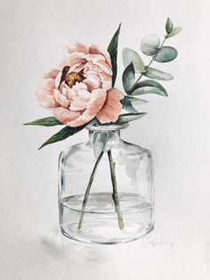 a watercolor painting of a pink flower in a glass vase with leaves and buds