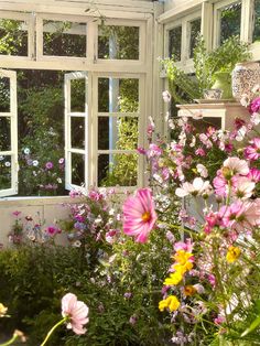 flowers are growing in the garden next to an open window with glass panes on both sides