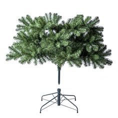 a small pine tree on a black stand