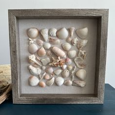 a shadow box frame filled with sea shells