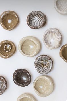 several seashells are arranged on a white surface