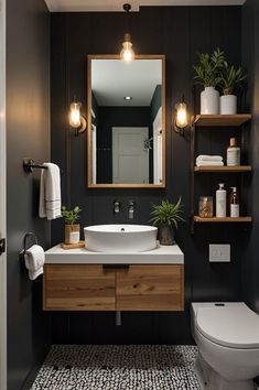 a white toilet sitting under a bathroom mirror next to a wooden shelf filled with potted plants