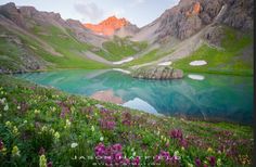 a mountain lake surrounded by wildflowers in the mountains