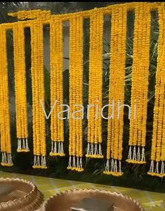 some yellow flowers hanging from the side of a wall next to a potted plant