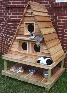 a wooden cat house with several cats inside