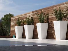 four white planters are lined up against a wooden wall