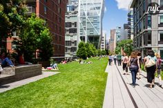 many people are walking on the grass near tall buildings and trees in the city center