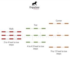 a diagram showing how to use the equine walk and trot step bars