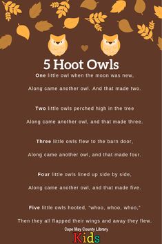 a poem with three owls on it and the words 5 hot owls written in different languages