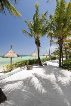 palm trees and thatched umbrellas line the white sand beach at an island resort