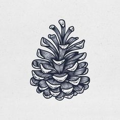 an ink drawing of a pine cone with leaves on the top and bottom, in blue