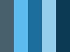 blue and black color palette for the web site, with an image of a cat sitting on