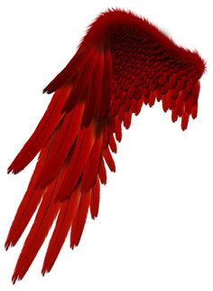 a large red bird flying through the air with its wings spread out and it's tail